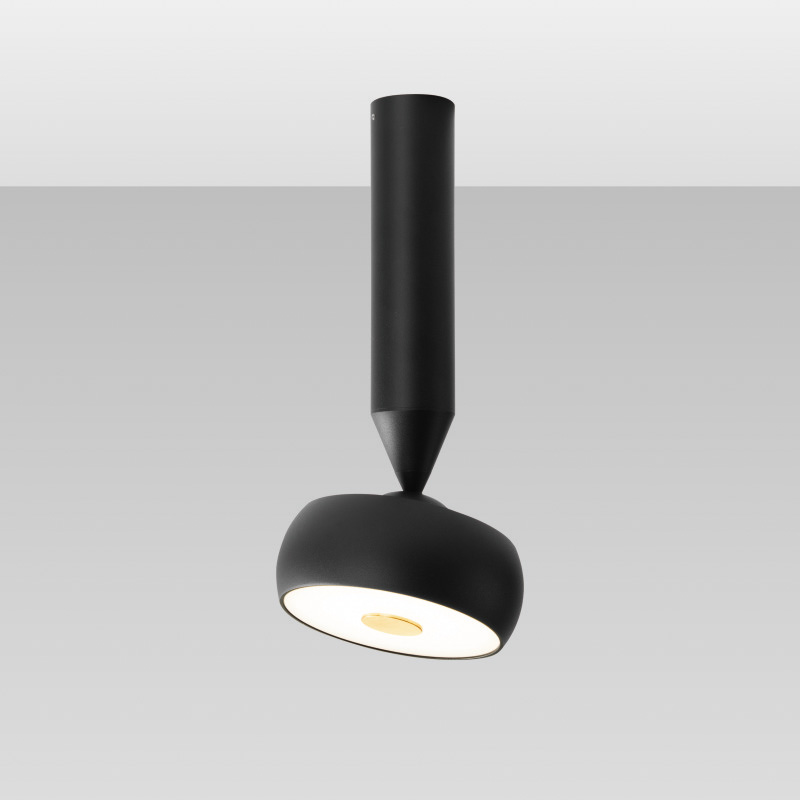 Ceiling floodlight C-134A-150L